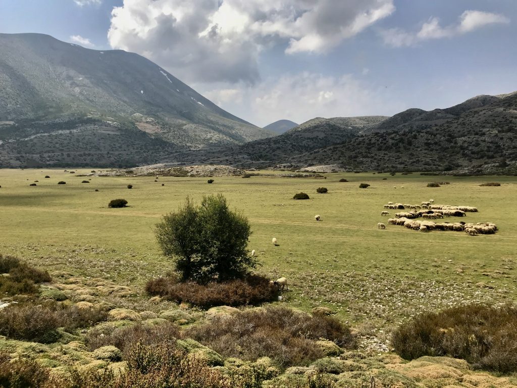 Griechenland 2018 Saloniki Meteora Kreta Athen (6)