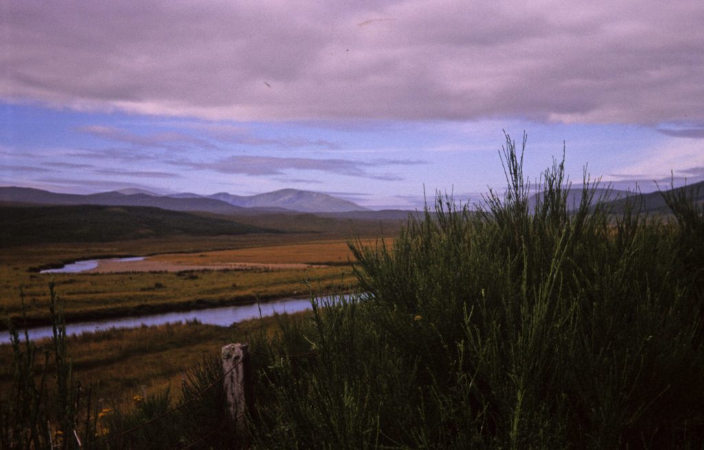 Großbritannien 1989 Schottland (3)