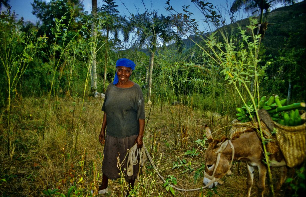 Haiti 2000 (7)