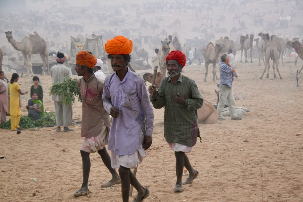 Indien 2007 Rajasthan (4)