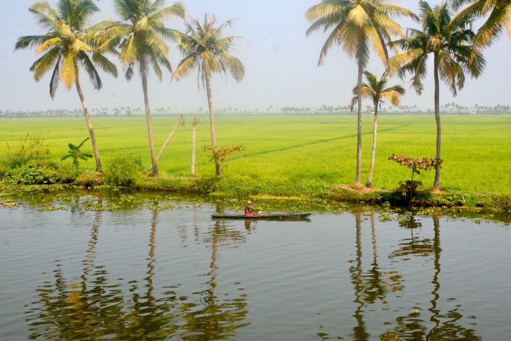 Indien 2009 Kerala (4)