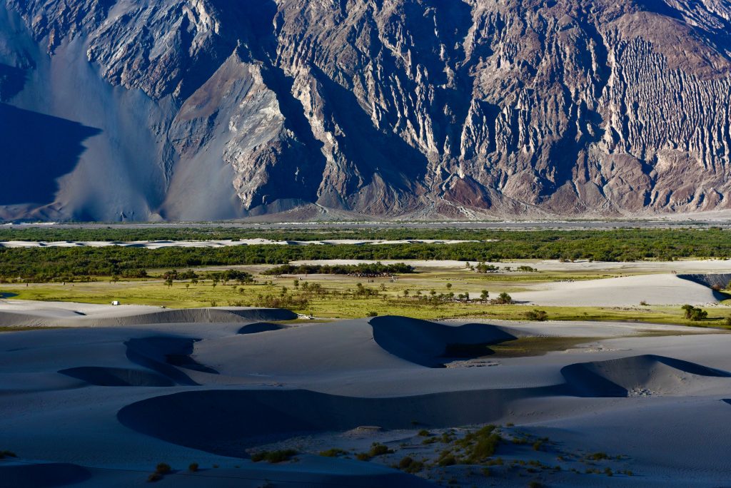 Indien 2016 Ladakh (4)