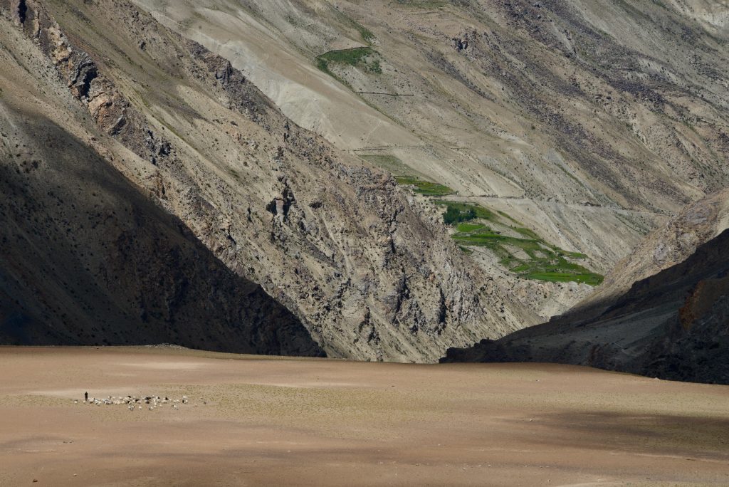 Indien 2016 Ladakh (9)