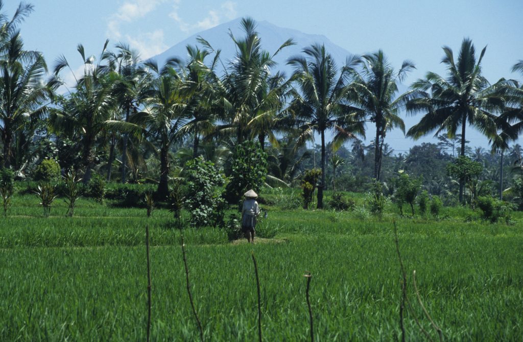 Indonesien 1998 Bali (10)