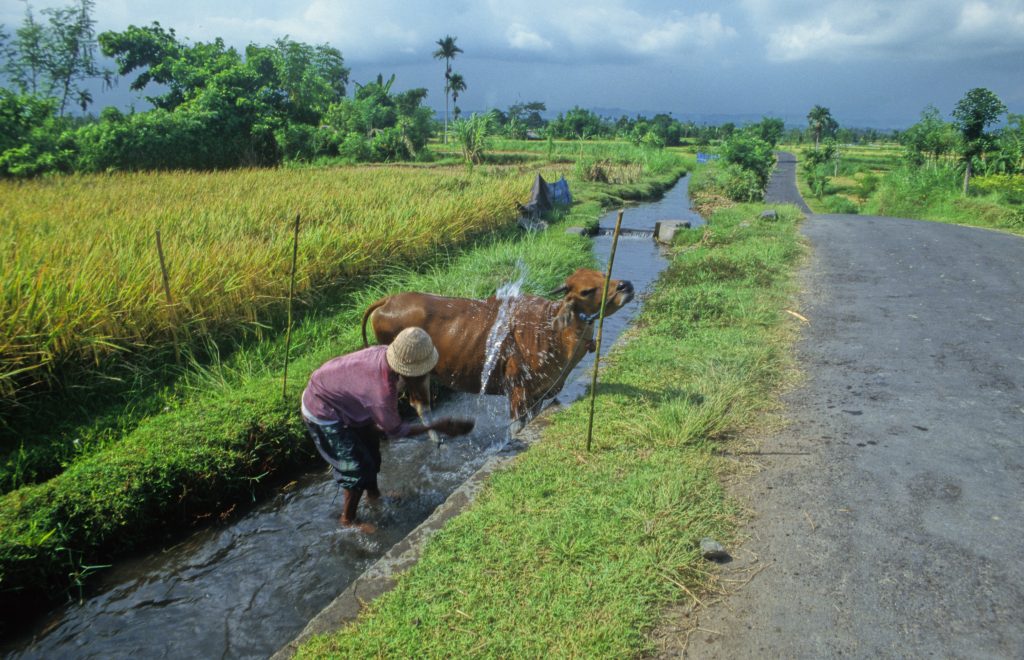 Indonesien 1998 Bali (17)