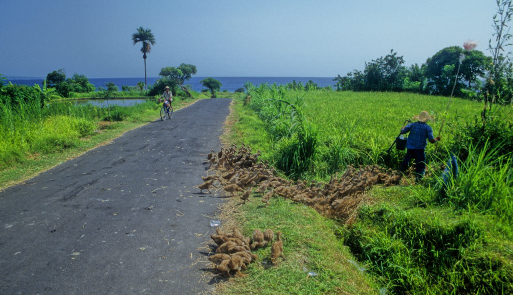 Indonesien 1998 Bali (19)