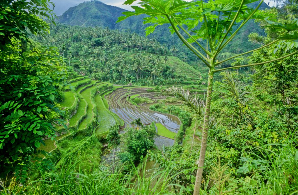 Indonesien 1998 Bali (21)