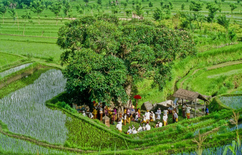 Indonesien 1998 Bali (22)