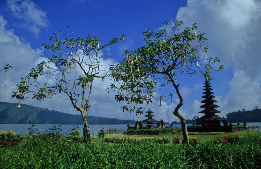 Indonesien 1998 Bali (5)