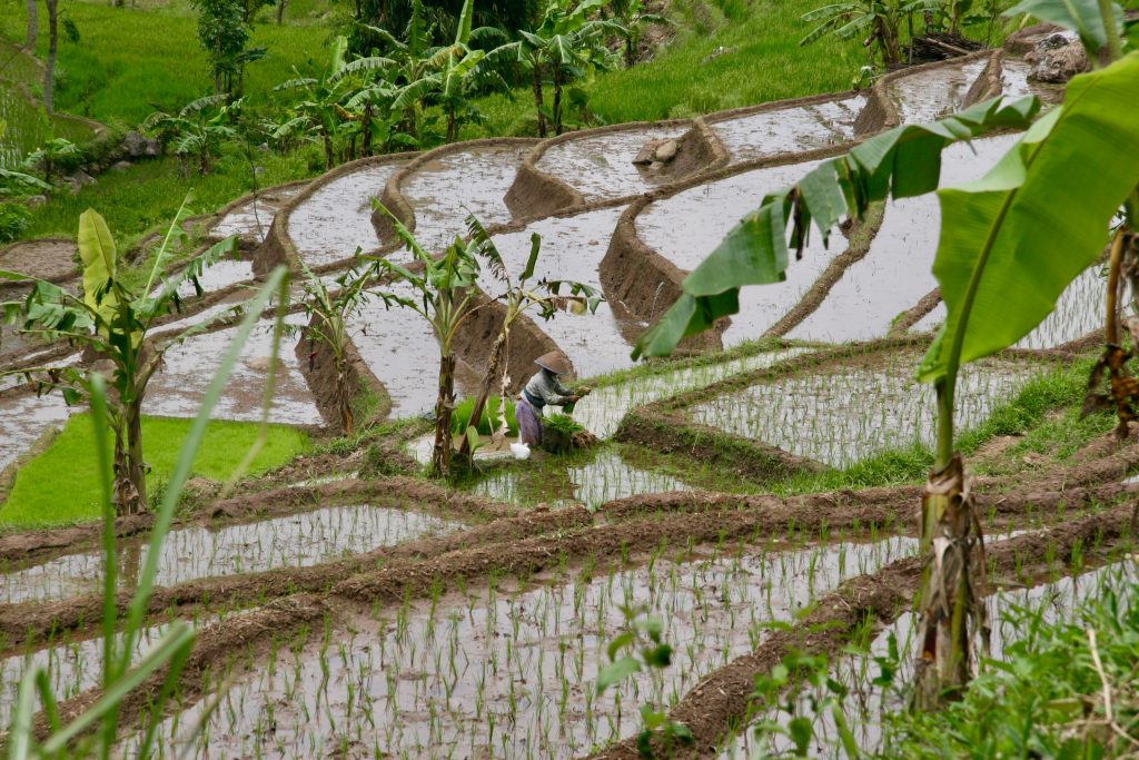 Indonesien 2009 Java (9)