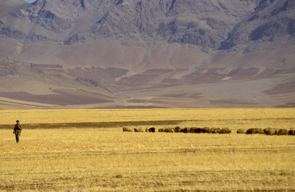Iran 1995 - 1999 (36)