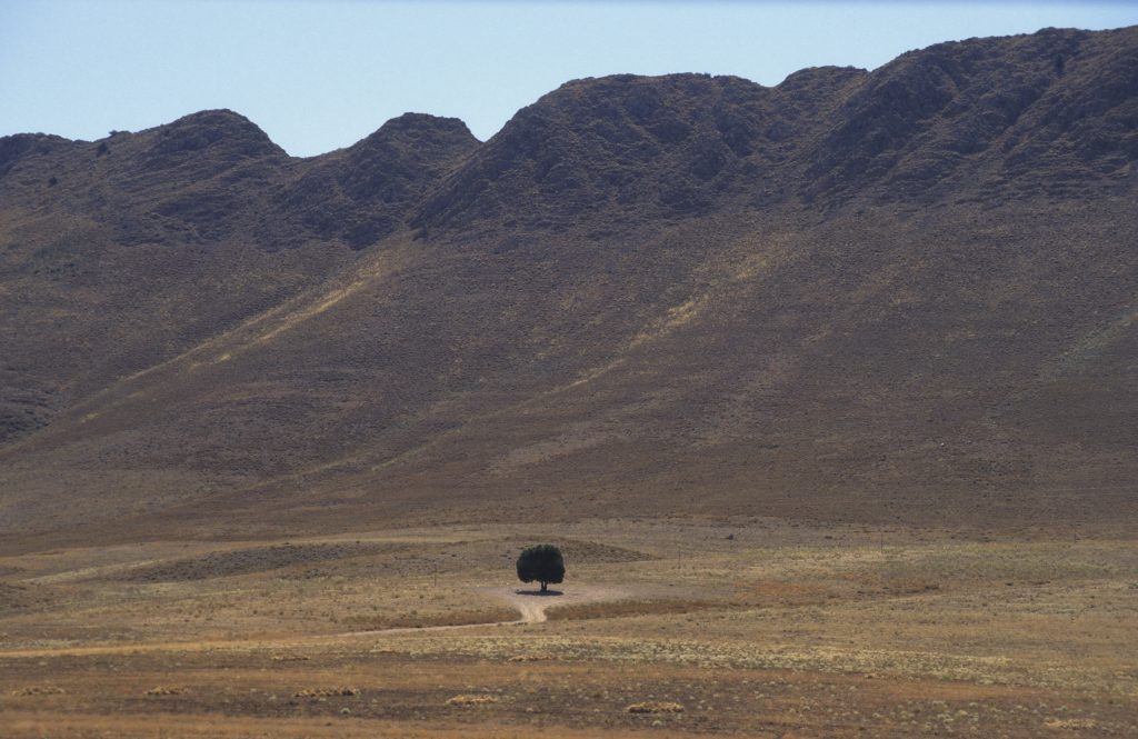 Iran 1995 - 1999 (39)