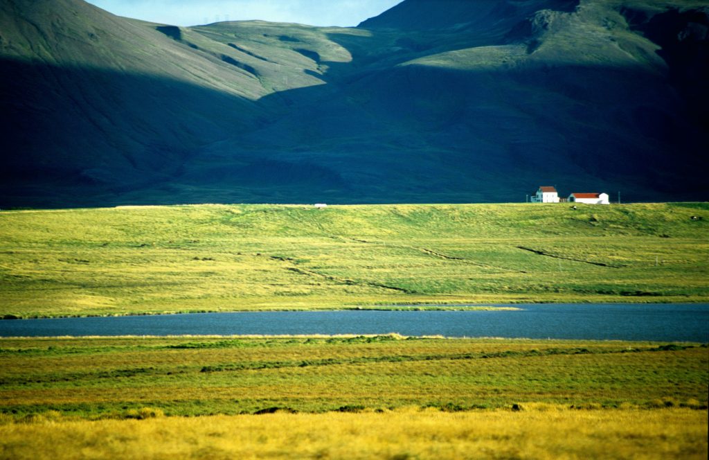 Island 2003