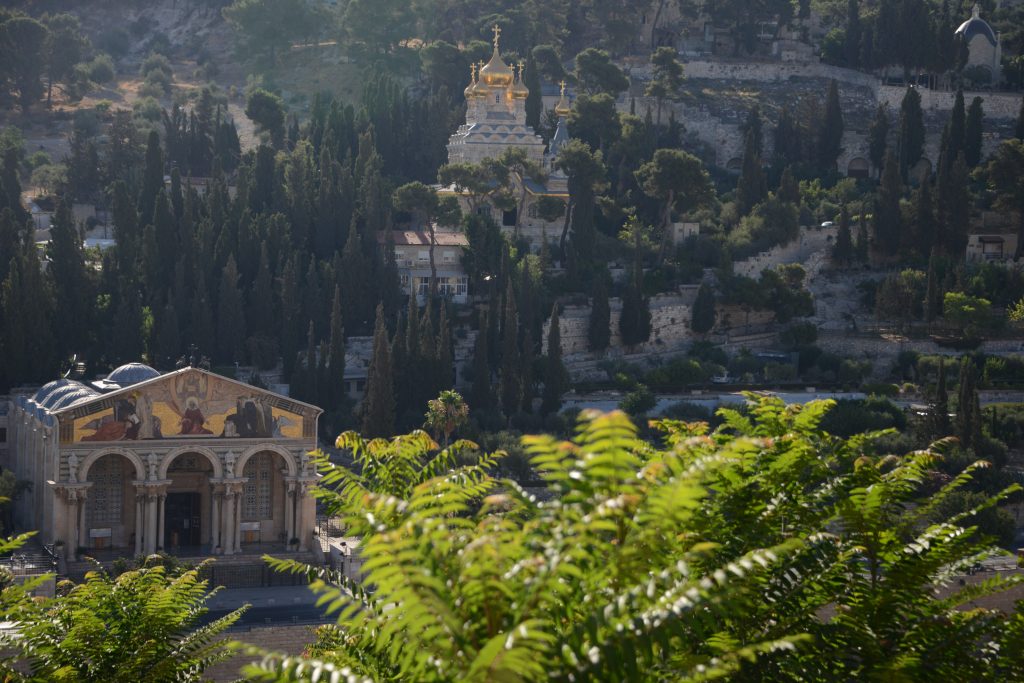 Israel und Palästina 2016 (2)