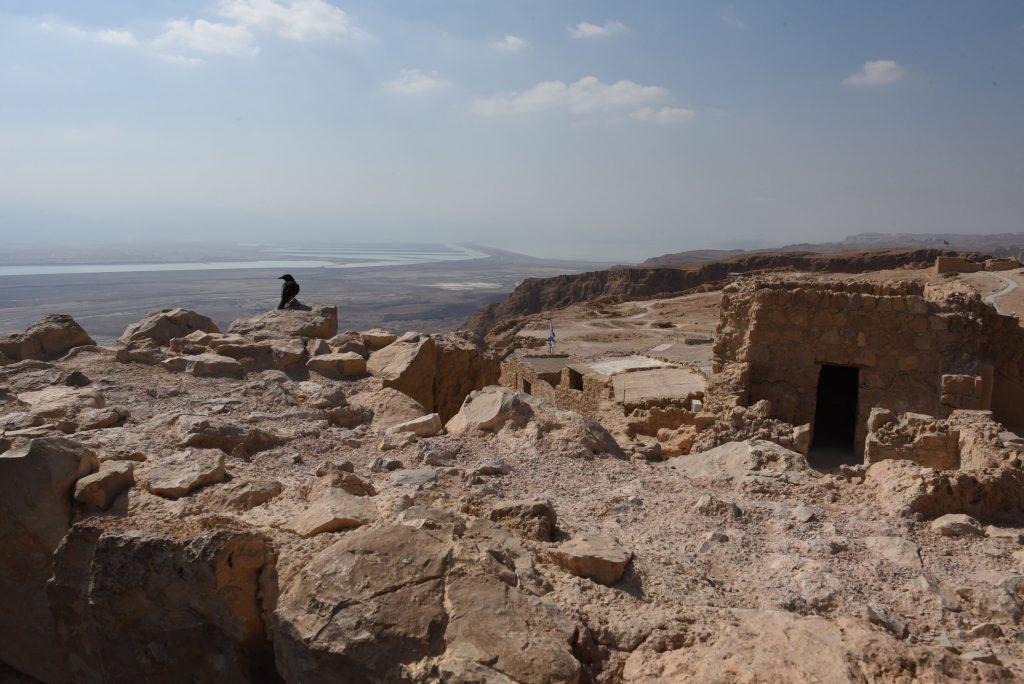 Israel und Palästina 2017 (10)