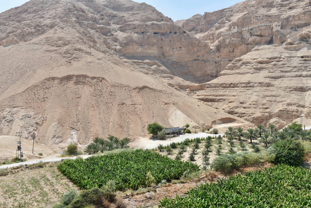 Israel und Palästina 2017 (3)