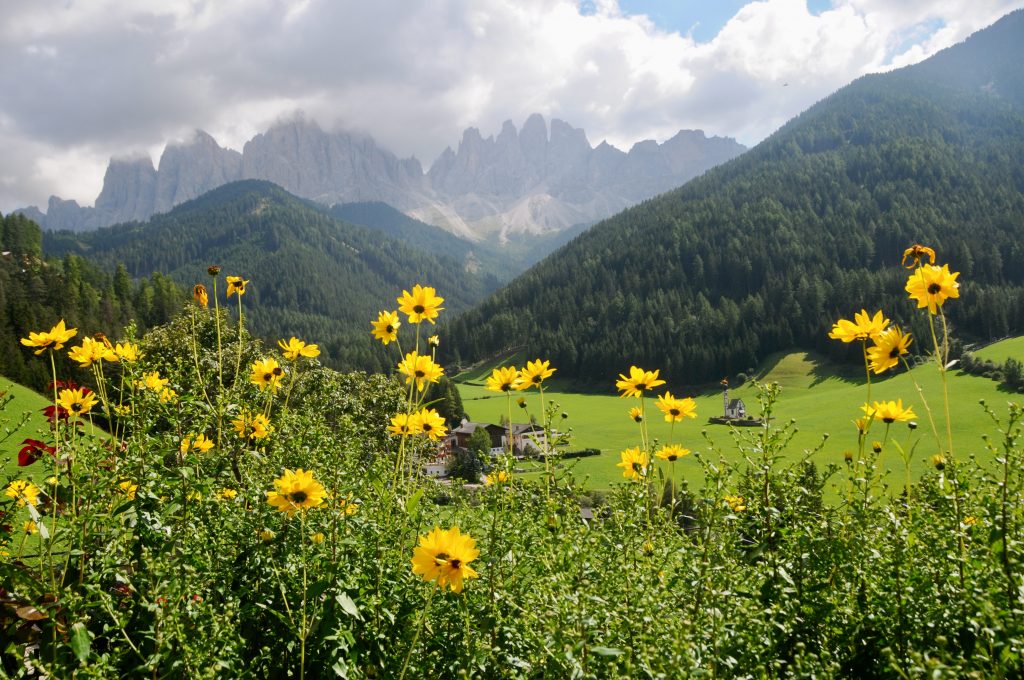 Italien 2012 Südtirol (1)