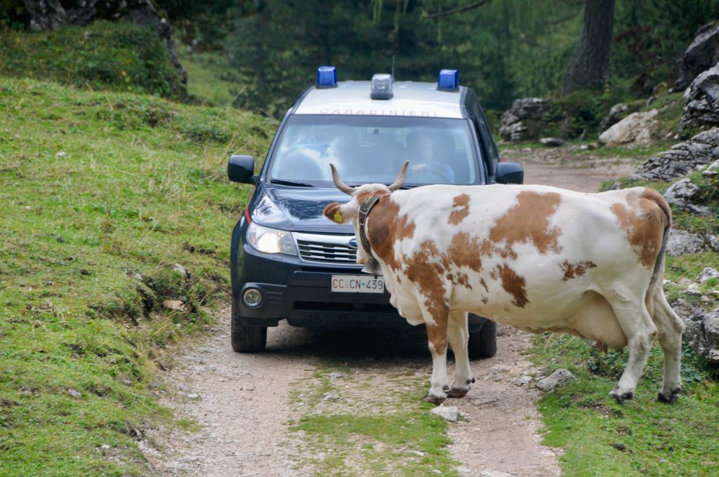 Italien 2012 Südtirol (3)