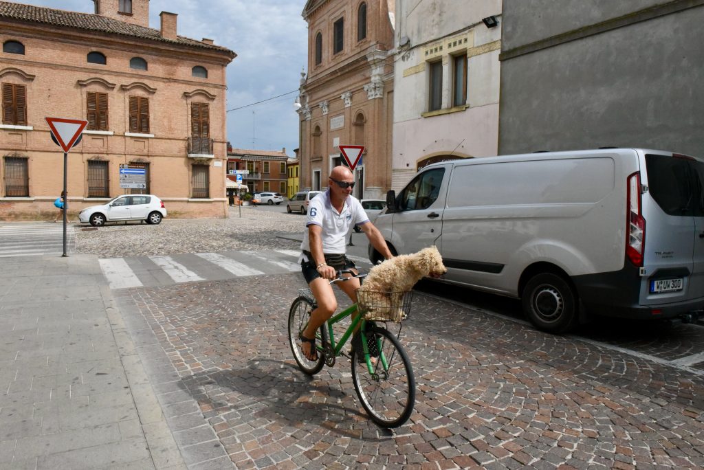 Italien 2017 Bologna (2)
