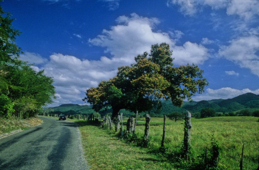 Jamaica 2000 (9)