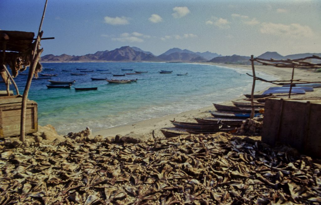 Jemen 1996 (23)