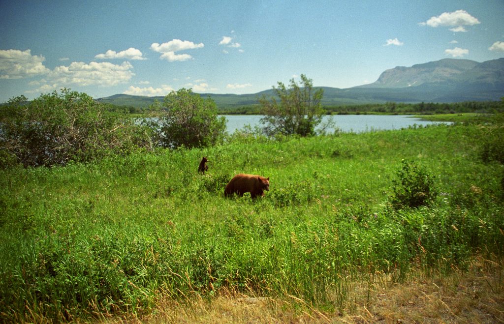Kanada Epic Journeys 2002 Honeymoon Across the USA (2)