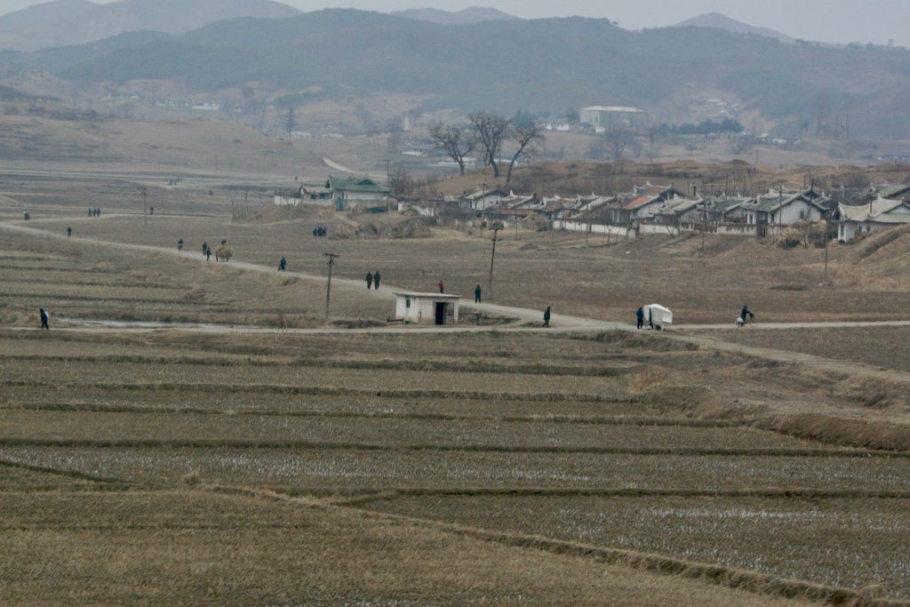 Koreas X 2 2008 (33)
