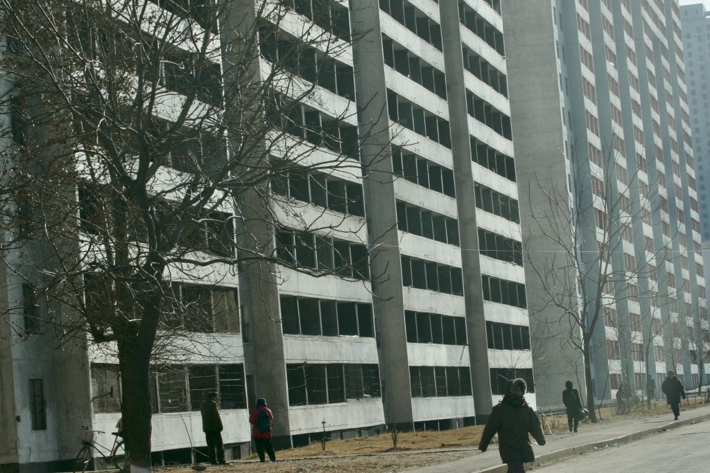Koreas X 2 2008 (5)