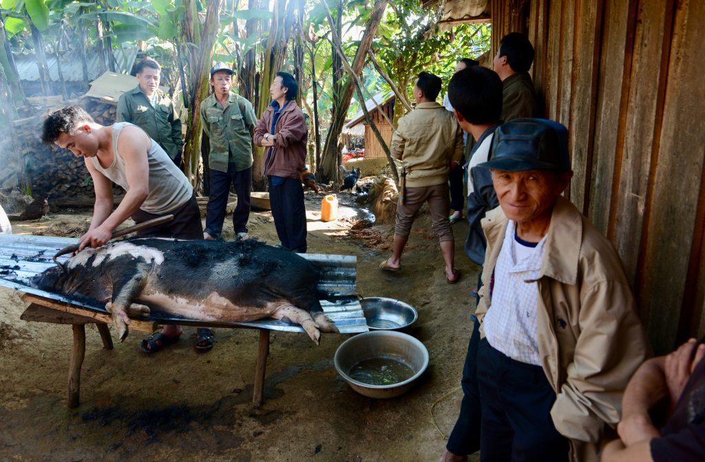 Laos 2016 (14)