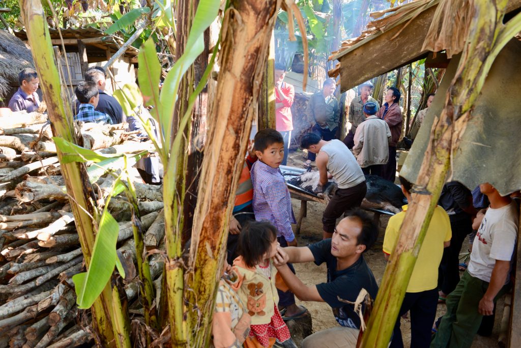Laos 2016 (15)