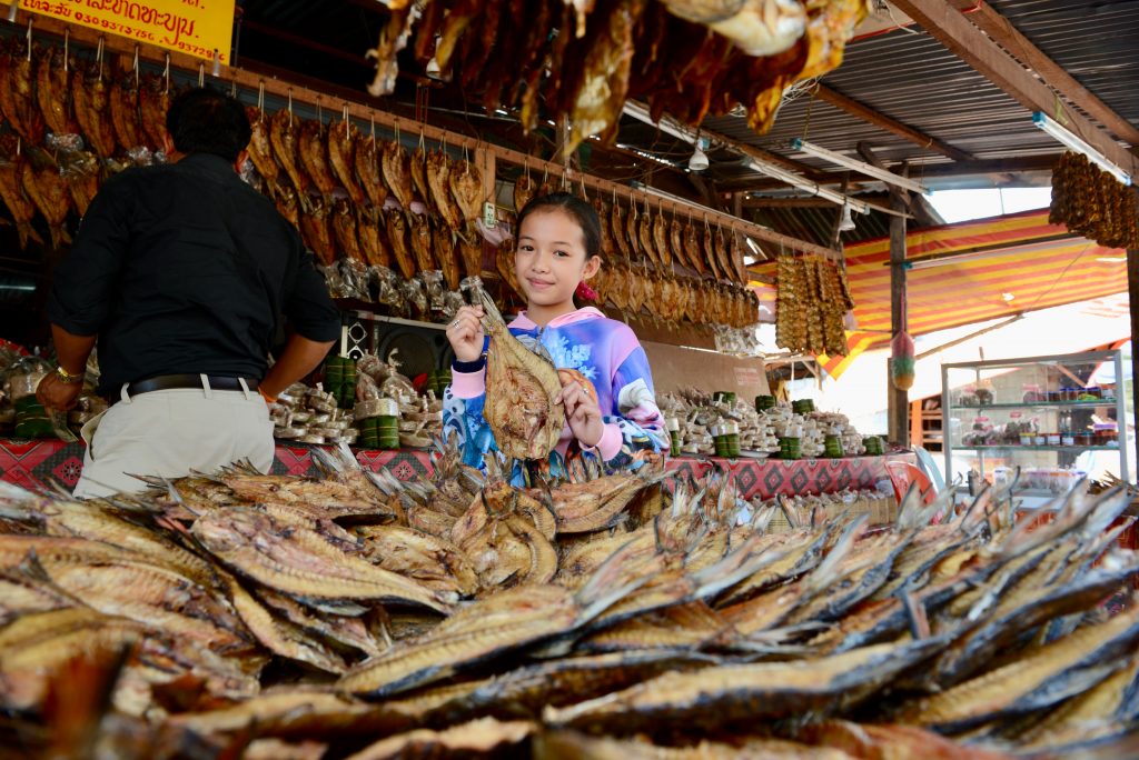 Laos 2016 (21)