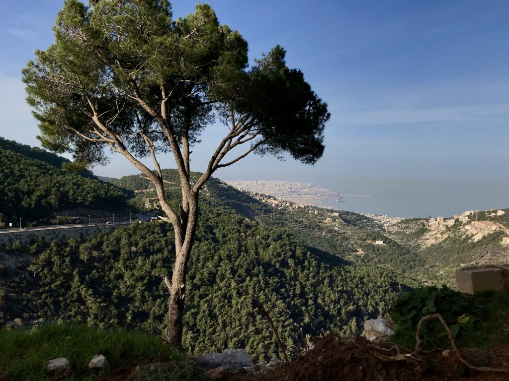Libanon 2018 (51)