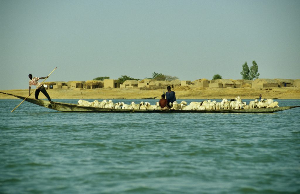 Mali 2006 (21)