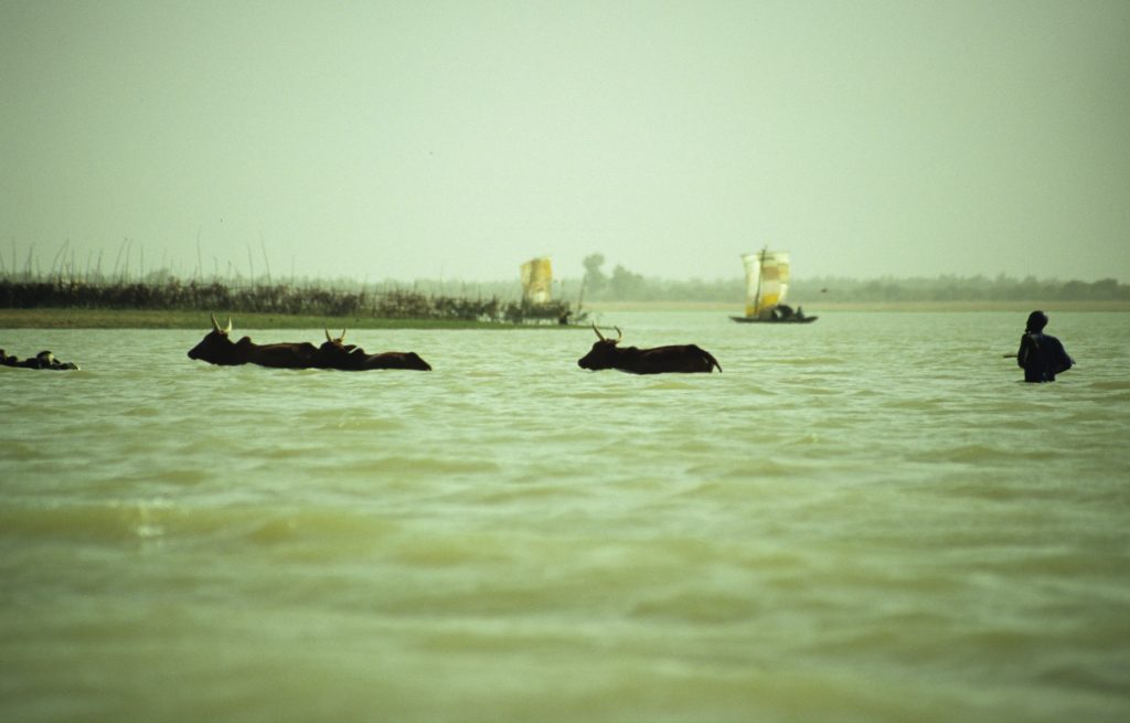 Mali 2006 (30)