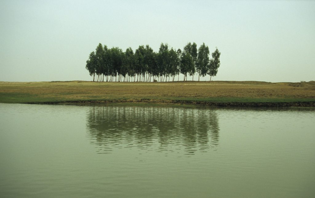 Mali 2006 (35)