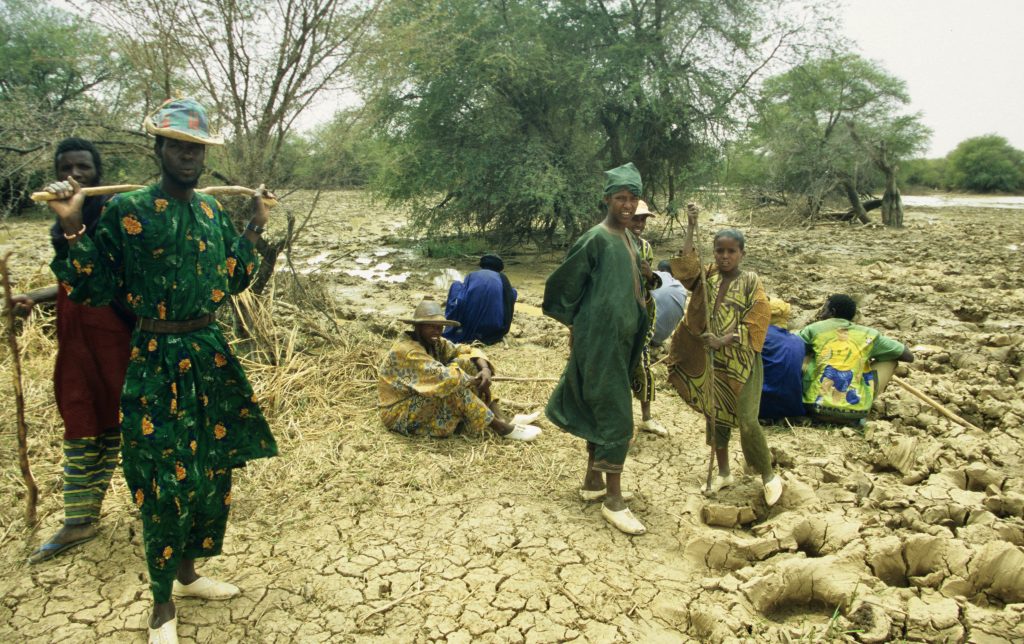 Mali 2006 (55)