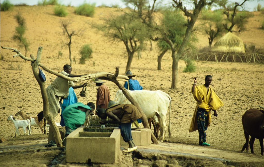 Mali 2006 (60)