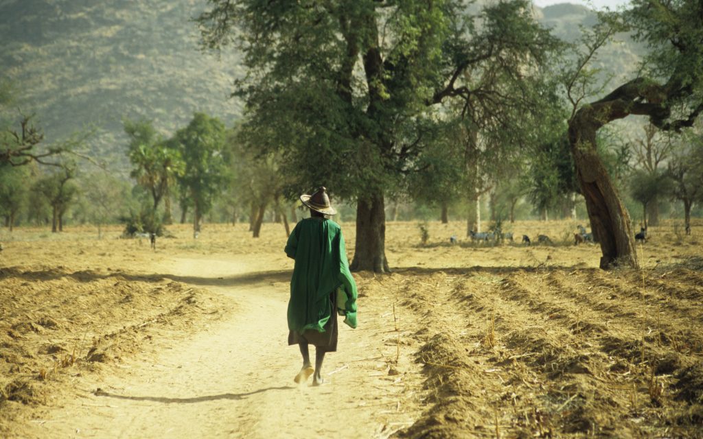Mali 2006 (63)