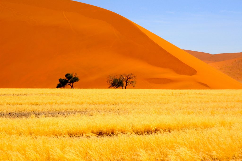 Namibia 2006 (15)