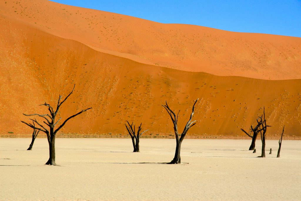 Namibia 2006 (17)