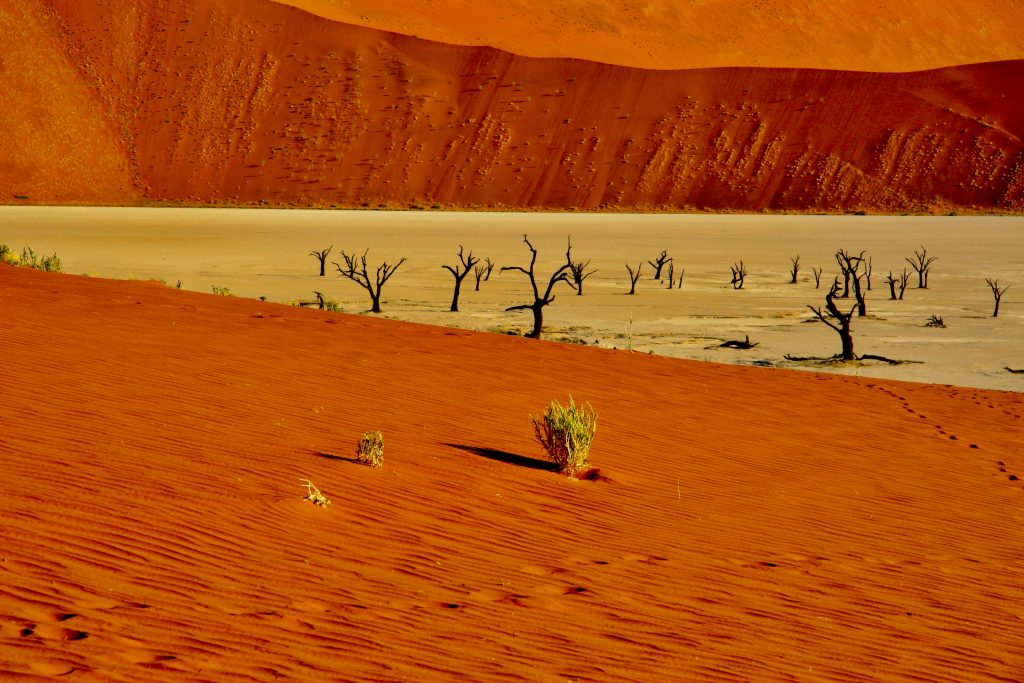 Namibia 2006 (18)