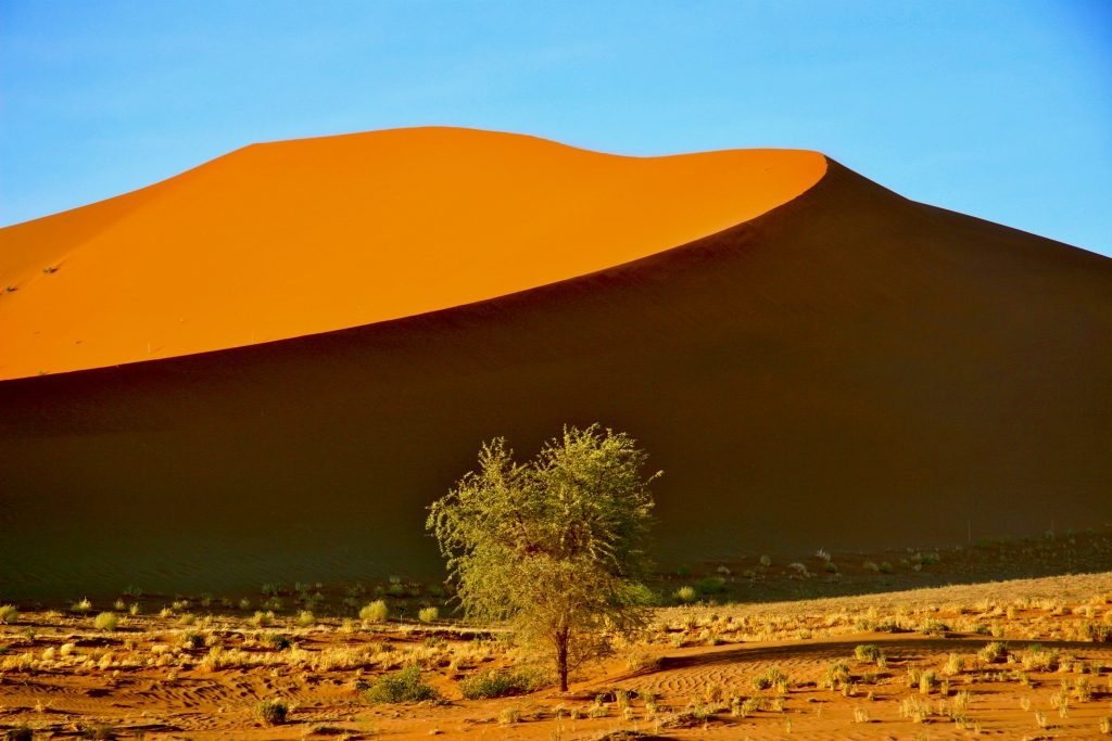 Namibia 2006 (20)