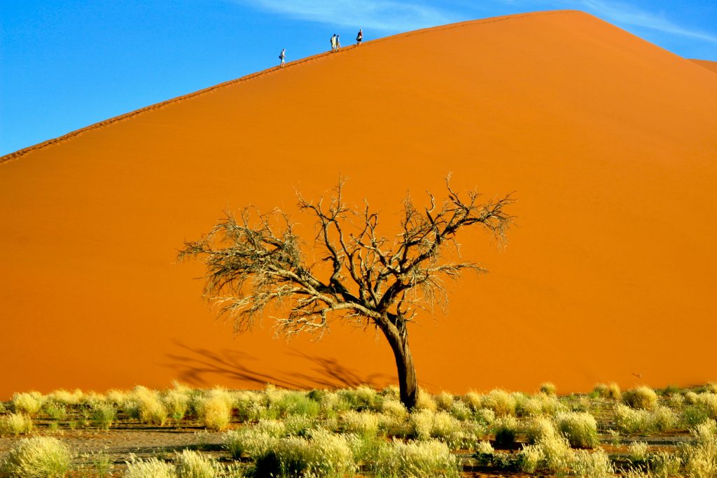 Namibia 2006 (21)