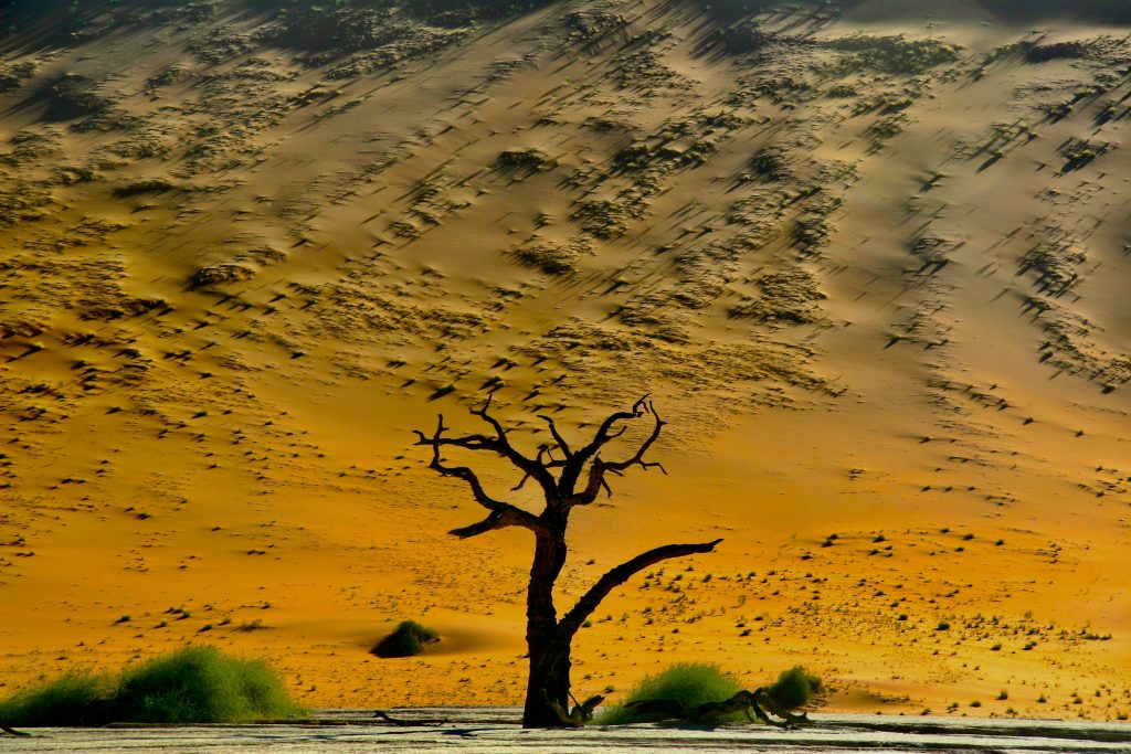Namibia 2006 (23)