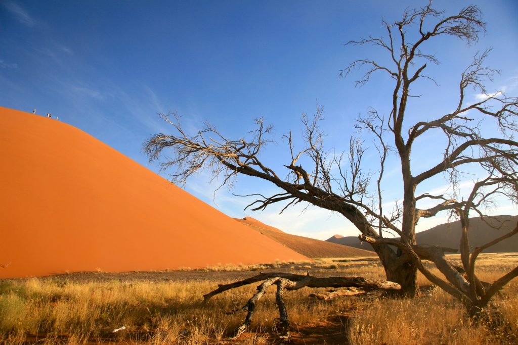 Namibia 2006 (25)