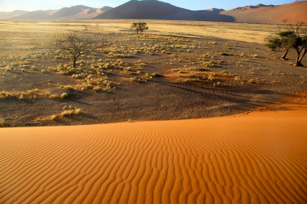 Namibia 2006 (28)