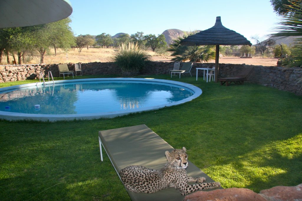 Namibia 2006 (32)