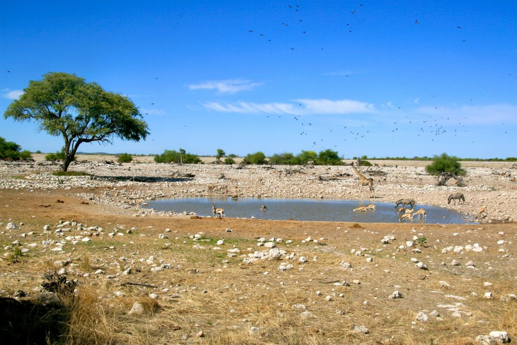Namibia 2006 (37)