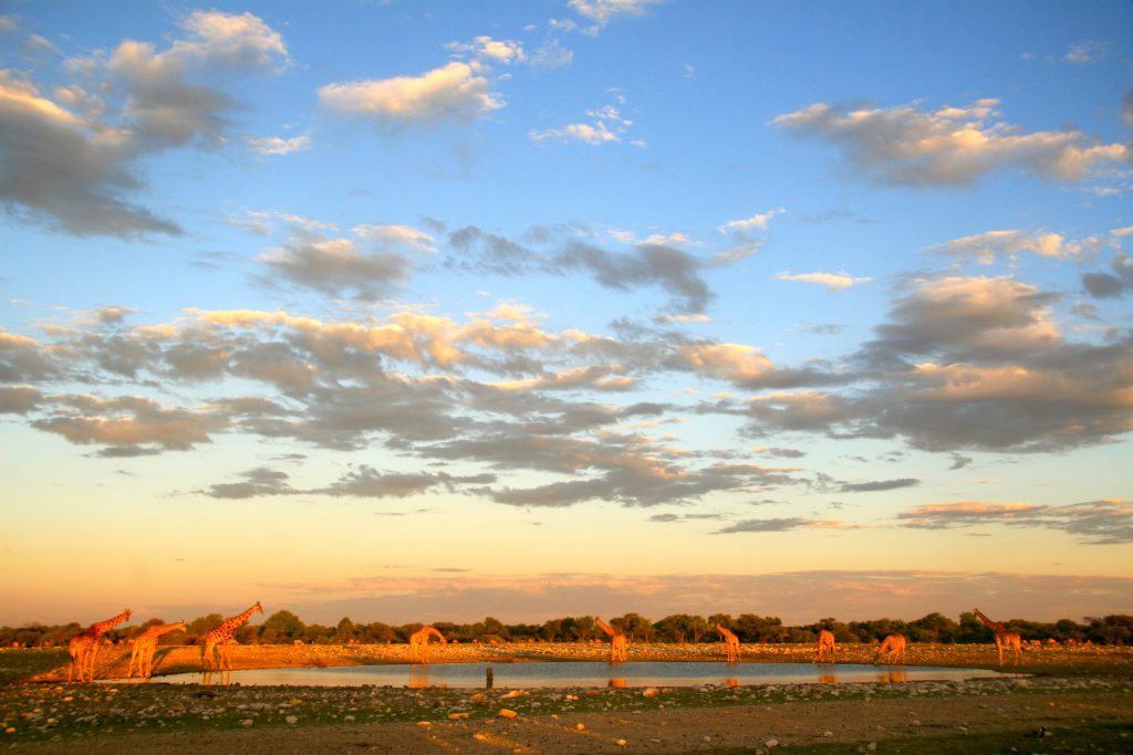 Namibia 2006 (39)