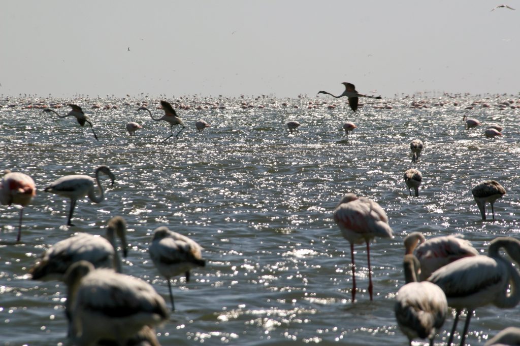 Namibia 2006 (41)